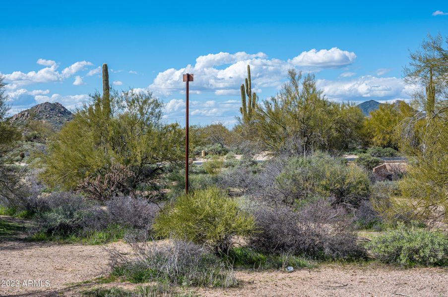 Lot 120 at 8627 E Whisper Rock Trl-7898