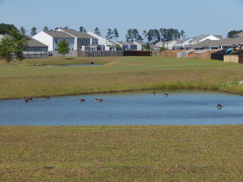 Community amenities in , Summerville (Image 10).