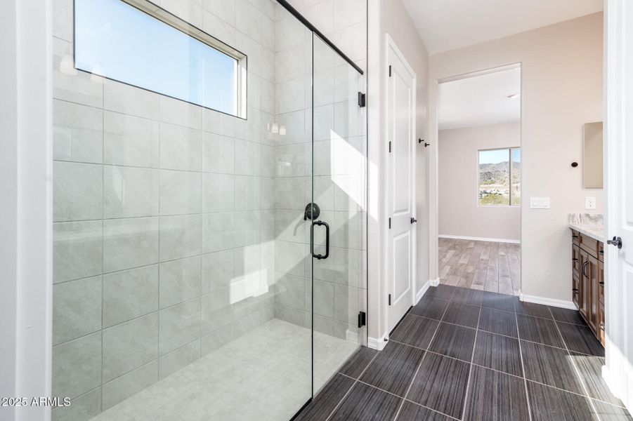 Primary shower Primary shower