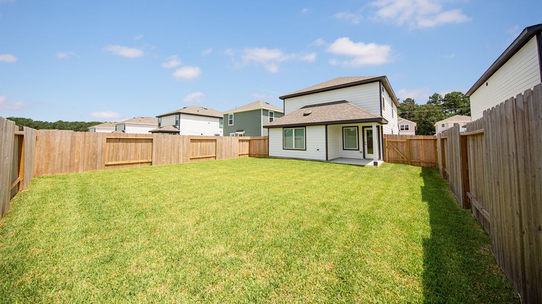 Backyard
