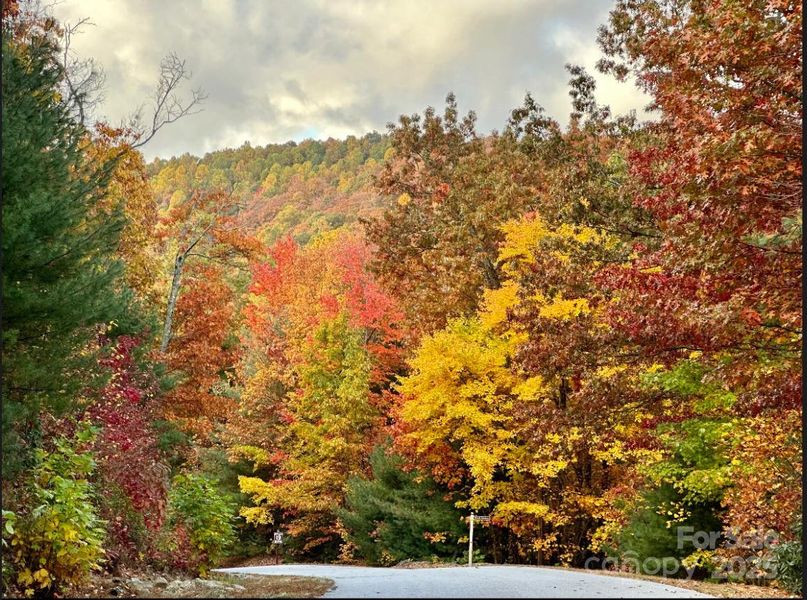 Natural landscape and outdoor views near  in Zirconia (Image 25).