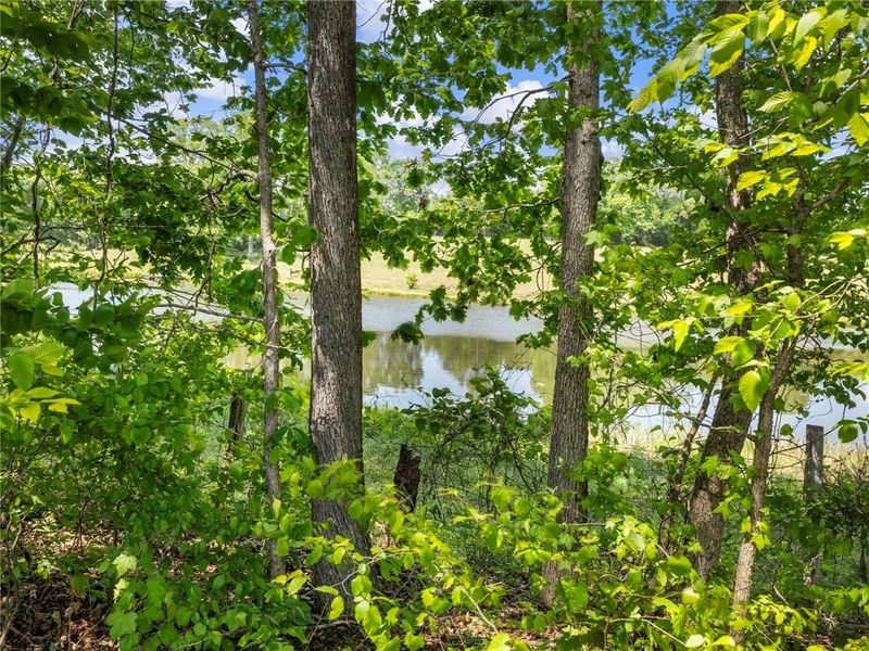 Natural landscape and outdoor views near  in Gainesville (Image 37).
