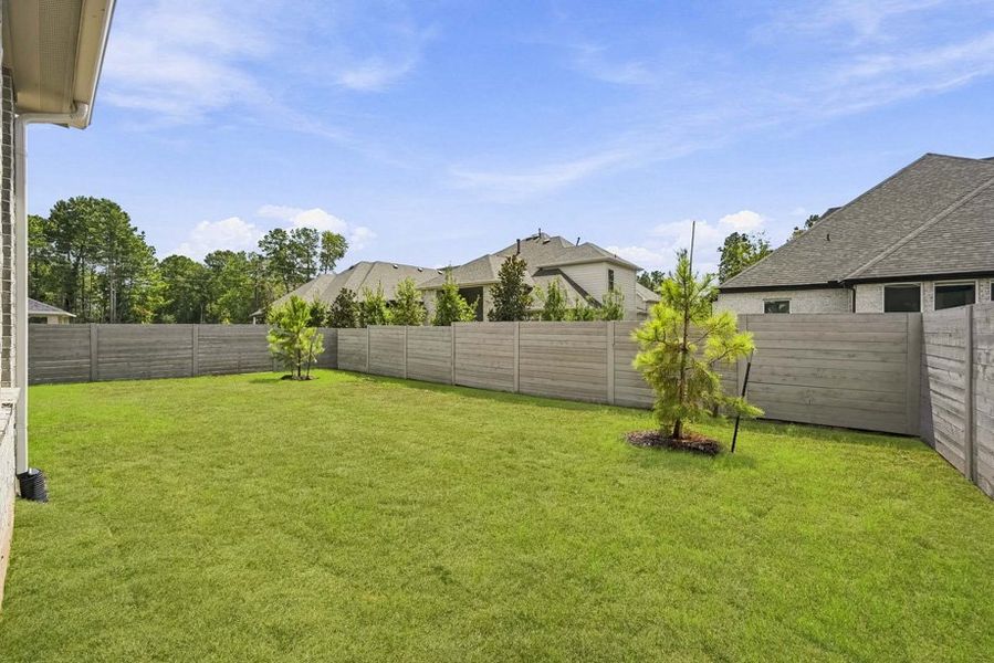 Backyard Backyard