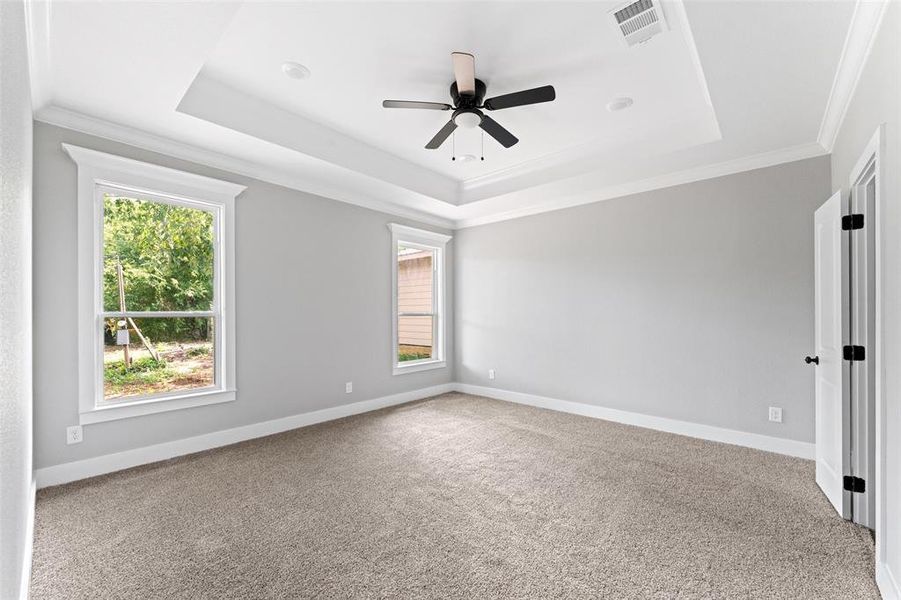 Unfurnished room featuring ornamental molding, a raised ceiling, light carpet, and plenty of natural light