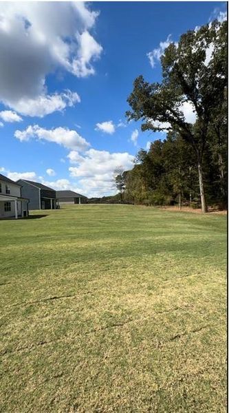 Natural landscape and outdoor views near Jackson Landing in Jefferson (Image 51).
