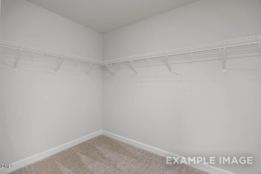Spacious, unfurnished interior of a new home in Springvale, Fuquay Varina (Image 49).