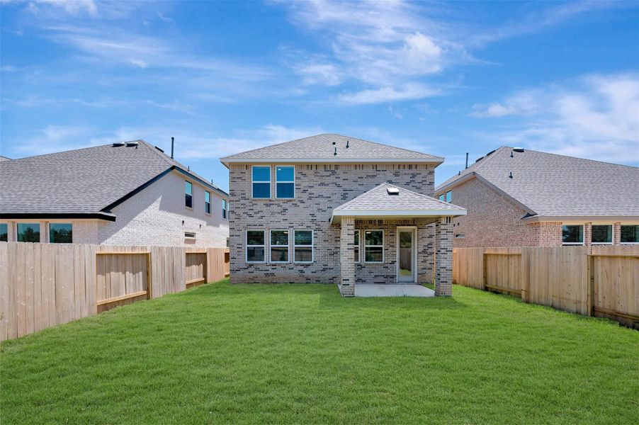 Amazing backyard! Amazing backyard!