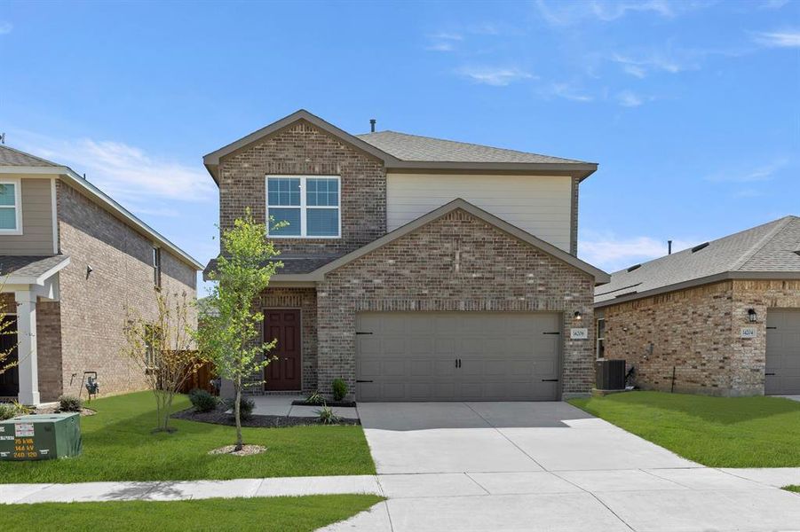 01. 14208 Coness - Front