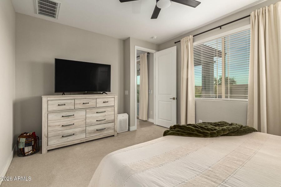 17-Wollemi 17-Wollemi