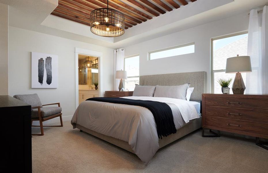 Owner's suite *model representation