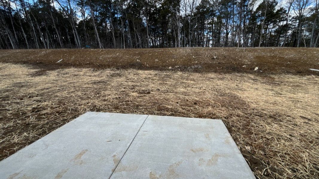 Site preparation for new homesites in Saddle Trace, Lewisburg (Image 25).