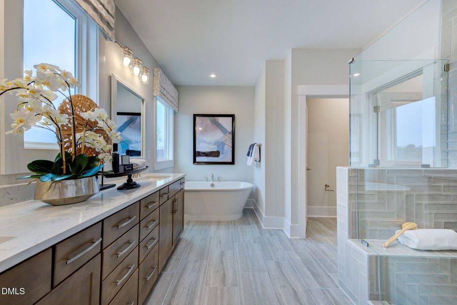 Owner's Bath