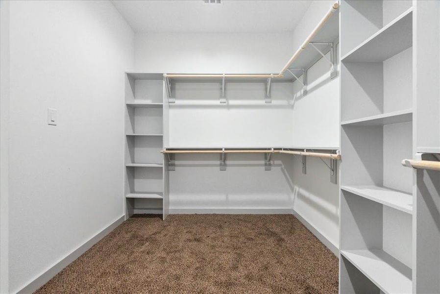 Walk in closet with dark colored carpet