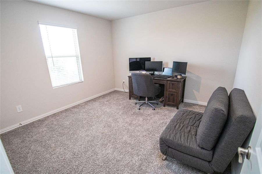 Carpeted home office with baseboards Carpeted home office with baseboards