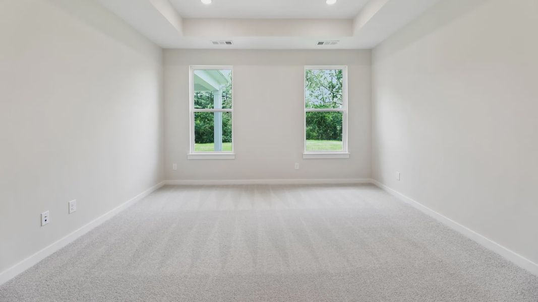 Primary suite with tray ceiling, windows, and carpet