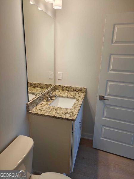 Close-up of interior finishes inside a home in The Fairways at Mirror Lake, Villa Rica (Image 12).