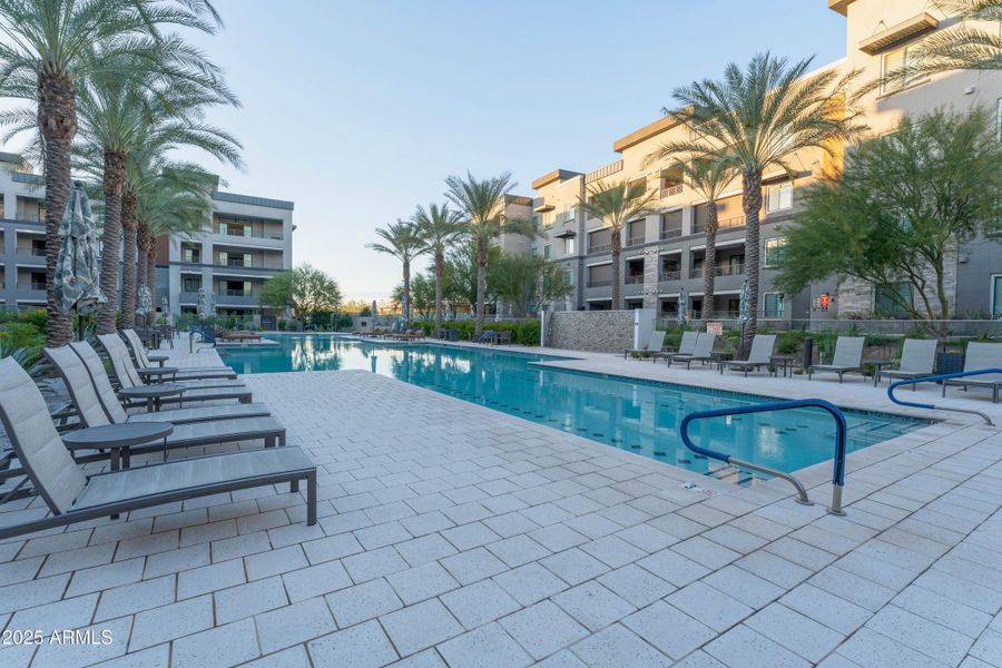 DSC04236-Edit DSC04236-Edit