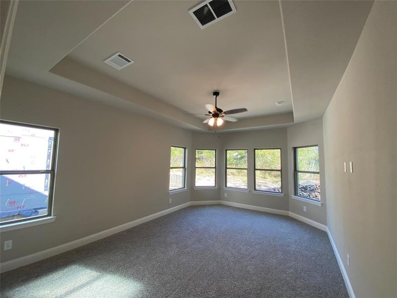 Master bedroom with lots of windows, tray ceiling, and ceiling fan