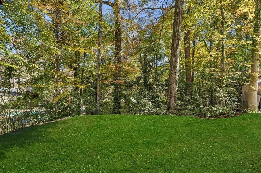 Natural landscape and outdoor views near in Atlanta (Image 61). Natural landscape and outdoor views near in Atlanta (Image 61).