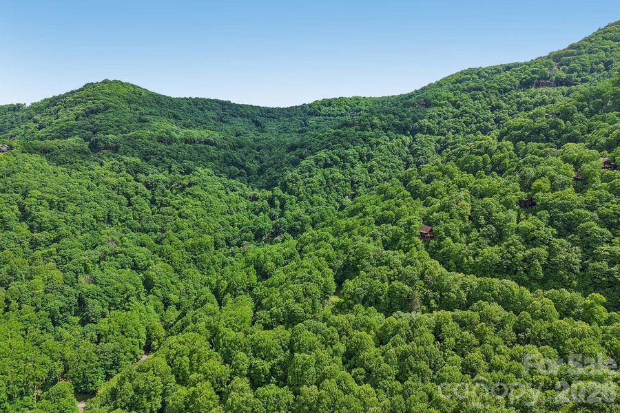 Natural landscape and outdoor views near  in Maggie Valley (Image 22).