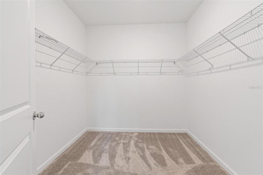 Spacious, unfurnished interior of a new home in Lake Wilson Reserve, Kissimmee (Image 22). Spacious, unfurnished interior of a new home in Lake Wilson Reserve, Kissimmee (Image 22).