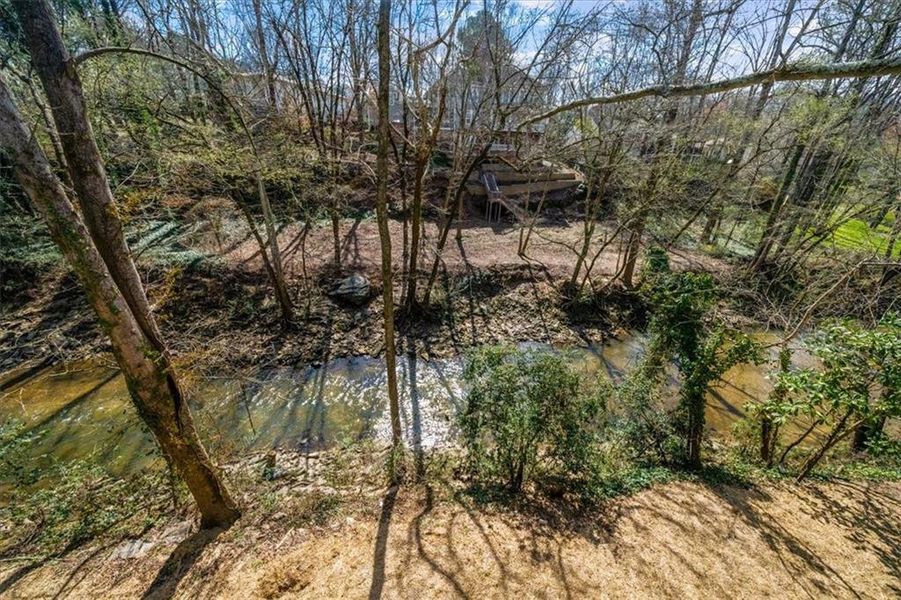 Natural landscape and outdoor views near  in Atlanta (Image 82).