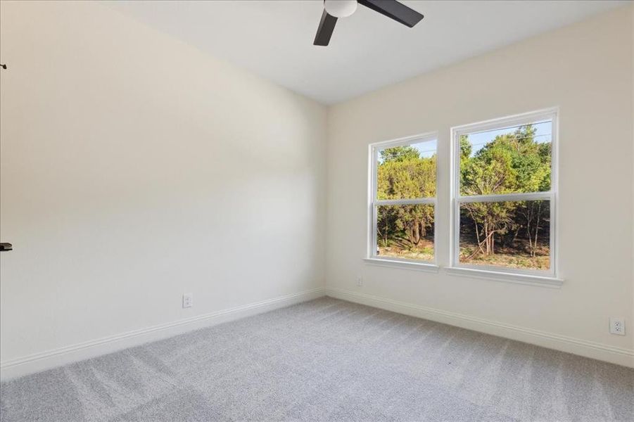 Unfurnished room featuring ceiling fan and carpet