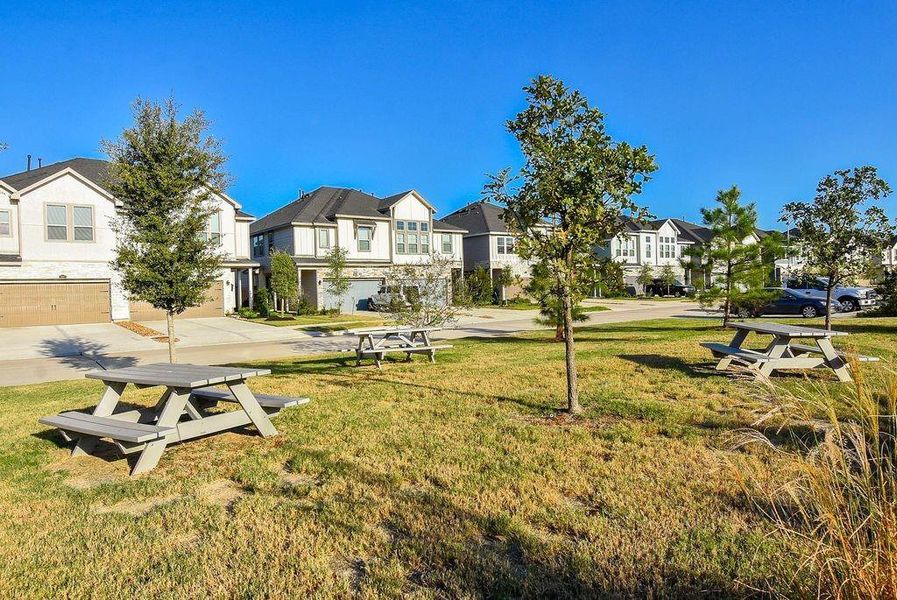 Beautiful community outdoor space with green lawns, trees, and plenty of room to enjoy fresh air and sunshine.