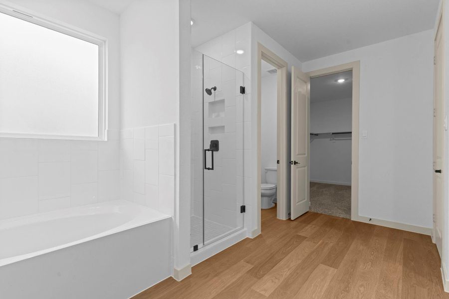 Representative Photo