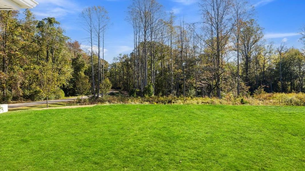 Natural landscape and outdoor views near Harrier Point in Woodruff (Image 35).