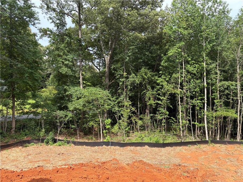 Natural landscape and outdoor views near Enclave at Little Ridge in Acworth (Image 45).