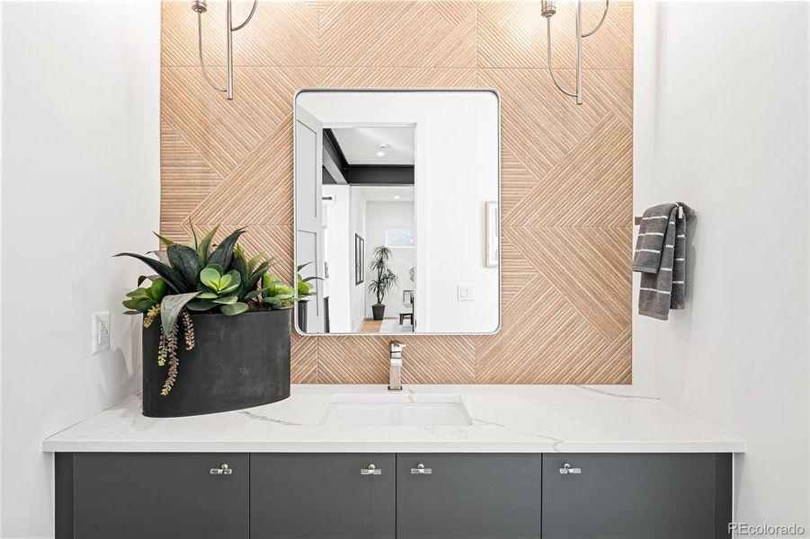 Private powder room with impressive features