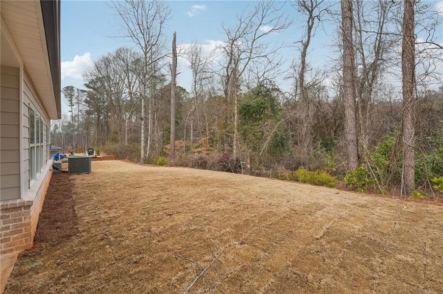Exterior details and patio area of a home in Westmont Preserve, Powder Springs (Image 34).