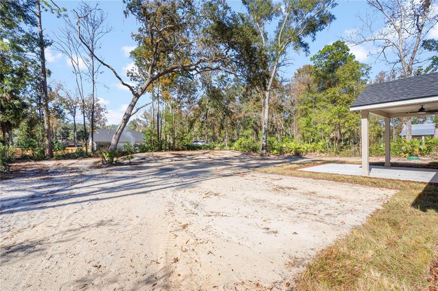 Natural landscape and outdoor views near  in Chiefland (Image 21).
