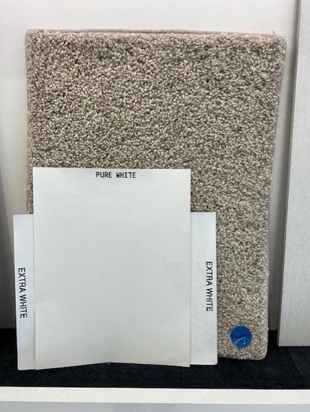 Image 24 of a home in Sienna 45', 50'.