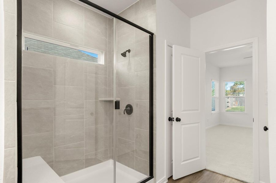Bathroom featuring plenty of natural light, a shower stall, and wood finished floors Bathroom featuring plenty of natural light, a shower stall, and wood finished floors