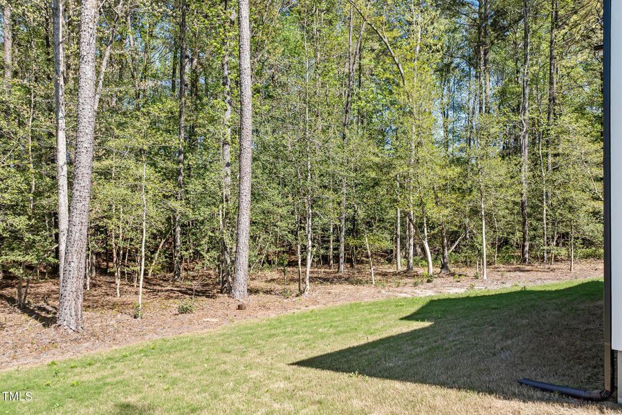 rear yard