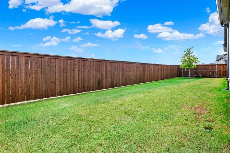 View of fenced backyard