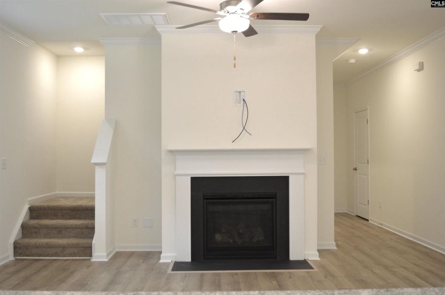 Furnished interior view inside a new home in Bickley Station, Irmo (Image 10).