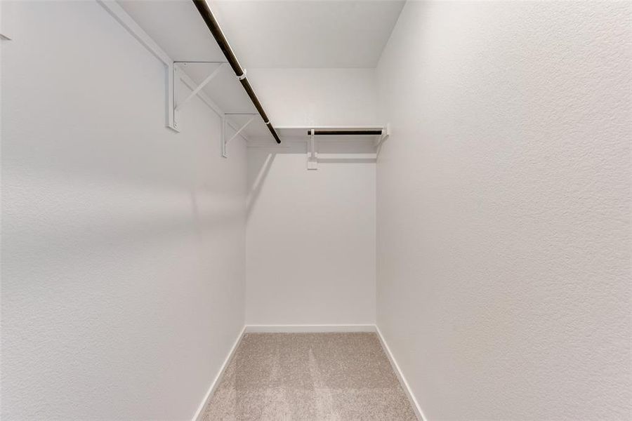 Walk in closet with carpet