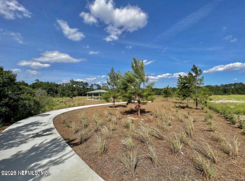 Natural landscape and outdoor views near Summerglen in Jacksonville (Image 20).