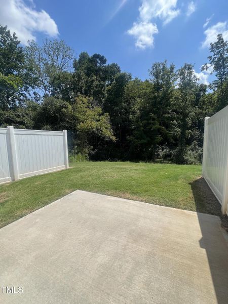 IMG_1180 2 IMG_1180 2