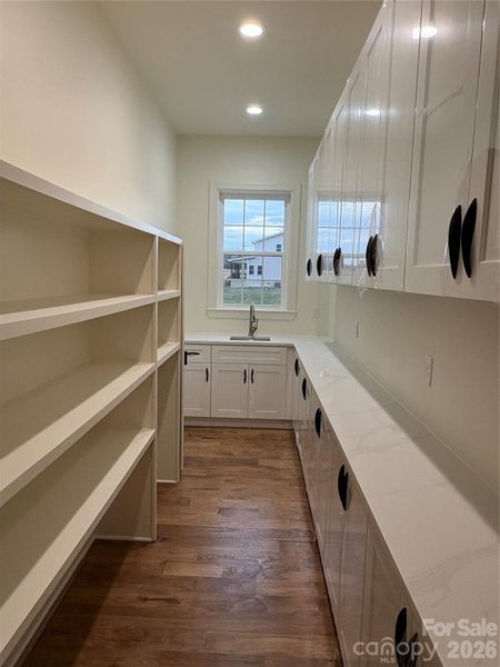 scullery with hidden Costco door.