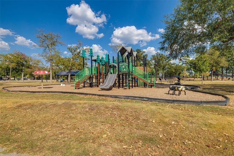 Community amenities in Meadow Park, Conroe (Image 17).