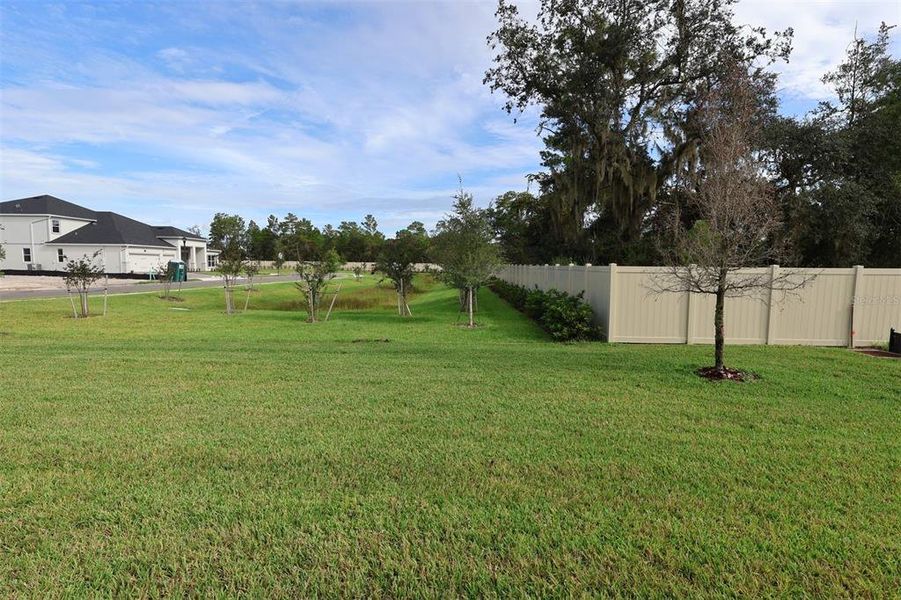 Natural landscape and outdoor views near Hawk's Overlook in Oviedo (Image 50). Natural landscape and outdoor views near Hawk's Overlook in Oviedo (Image 50).