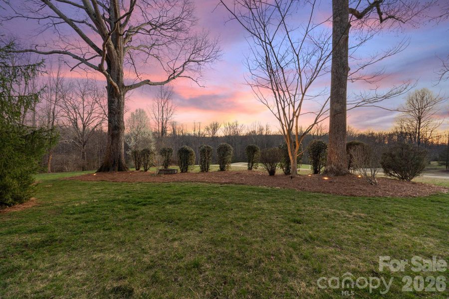 Natural landscape and outdoor views near  in Summerfield (Image 37).