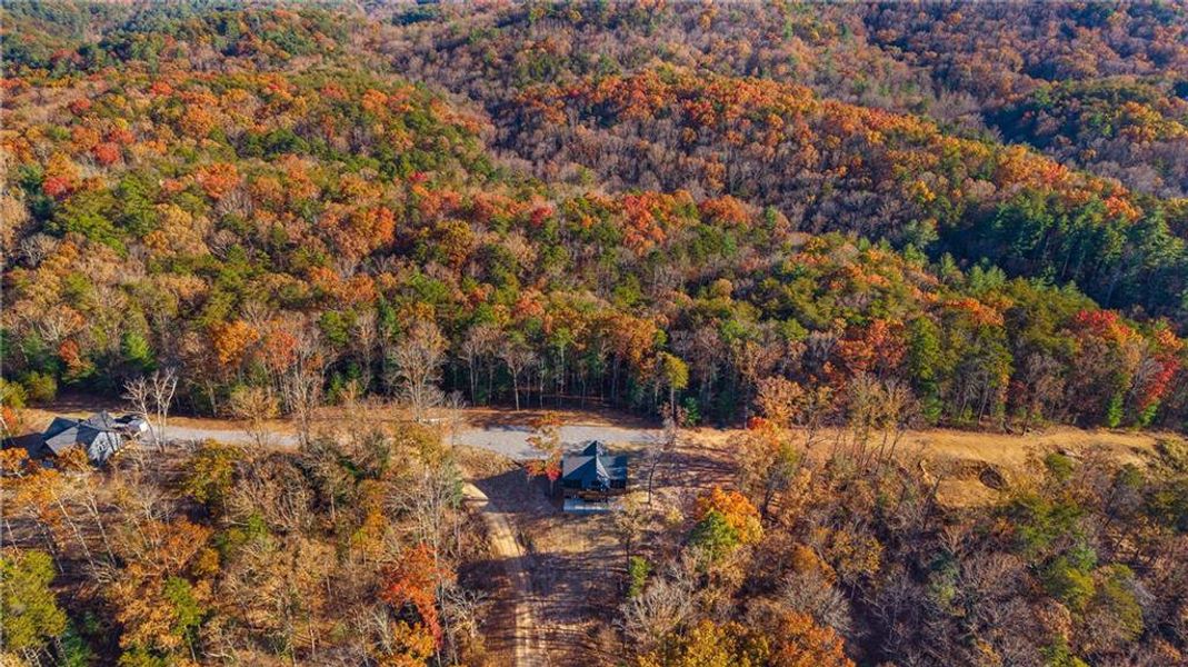 Natural landscape and outdoor views near  in Ellijay (Image 43).