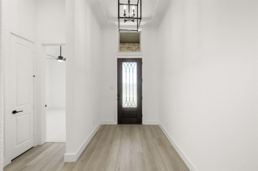 1204 Flock- Entry-1 1204 Flock- Entry-1