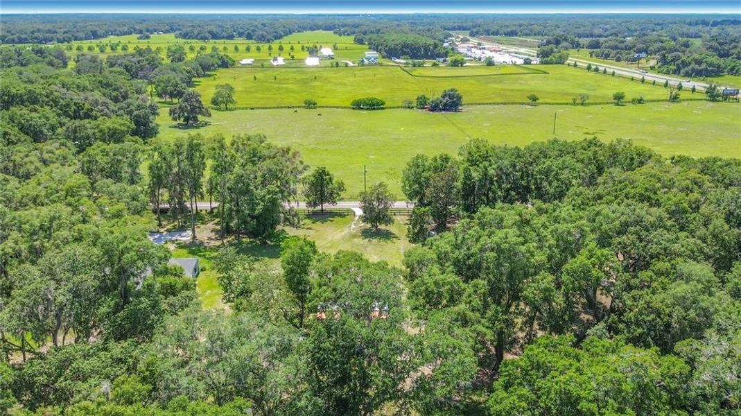 Natural landscape and outdoor views near  in Summerfield (Image 48).