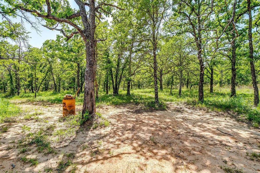 Natural landscape and outdoor views near  in Perrin (Image 31).